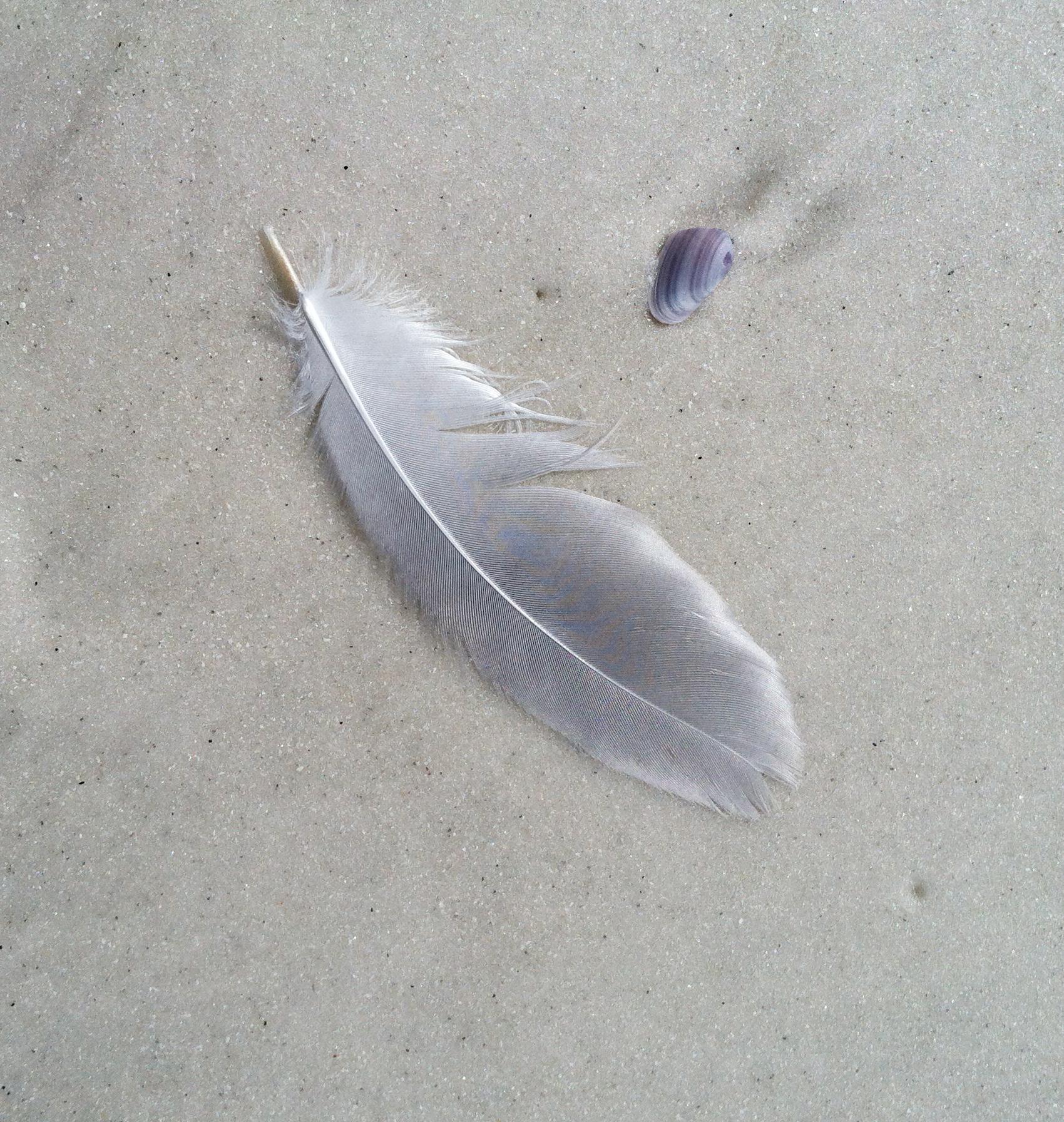 Travel recruitment vacancy beach feather