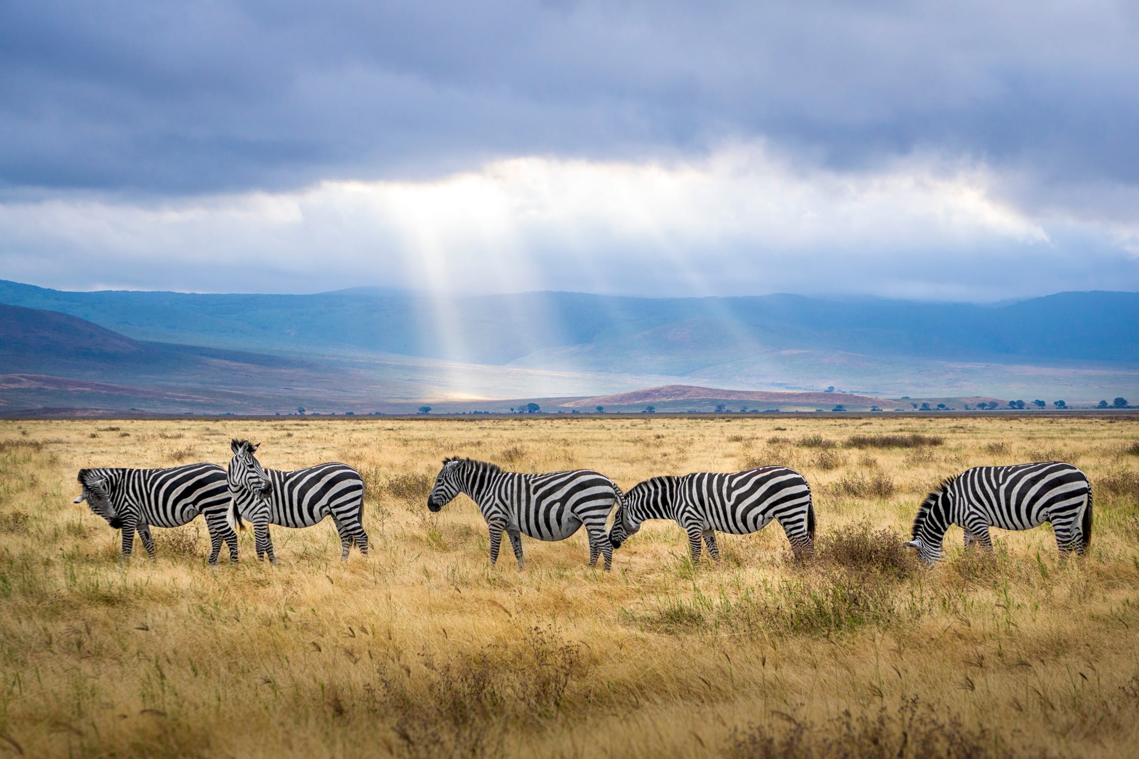 Senior Africa Travel Consultant - Hybrid Hampshire/ Wiltshire / Hungerford - £40k-£45k + bonus (PTR 5010)