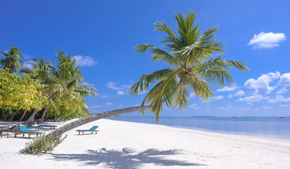 pexels-asad-photo-maldives-1591373