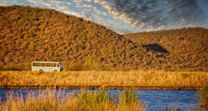 safari tour operator driving a bus in Mokolodi game reserve in Botswana