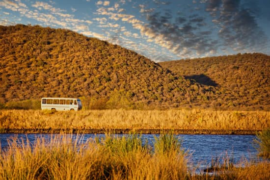safari tour operator driving a bus in Mokolodi game reserve in Botswana