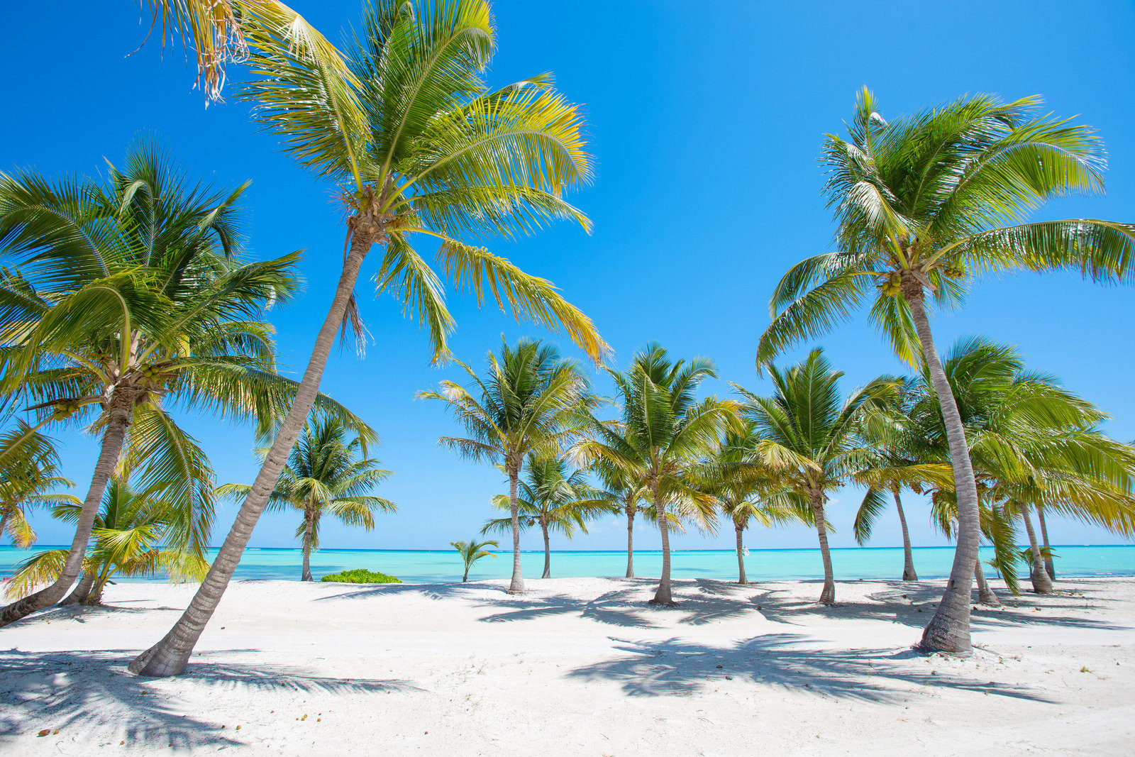 B2B Beaches Travel Consultant - Remote UK - £35k-£45k + comm (PTR 3075)